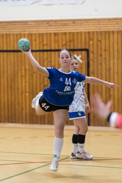 Bild 253 - wAJ TSV Ellerau - HSG Pinnau : Ergebnis: 28:13